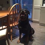 Katelyn Kerr - Instagram Profile Picture of Katelyn Kerr (@kerrkatelyn) on Instagram