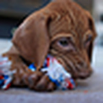 Profile Picture of James MacKenzie (@Jamesmackenzie) on Flickr