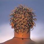 Profile Picture of Ted Werner (@ogwerner) on Instagram