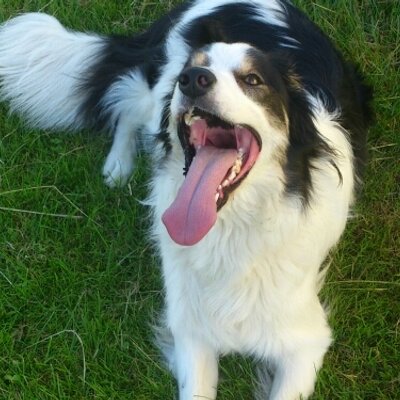 Profile Picture of Maria Perrin (@maria_perrin) on Twitter