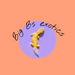 Profile Picture of Benjamin Taggart (@Benjamin-Taggart) on Facebook