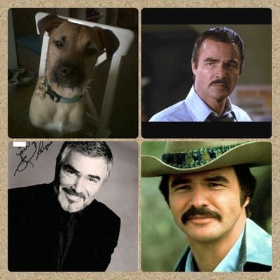 Val Duncan - Twitter Profile Picture of Val Duncan (@valduncan311) on Twitter