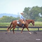 Profile Picture of Stephanie Jennings (@stephjenningsprohorse) on Instagram
