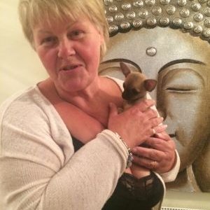 Profile Picture of Tanya Parsons (@TanyaPa75446856) on Twitter