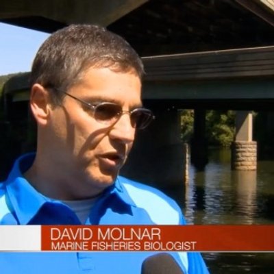 Profile Picture of David Molnar (@davidrmolnar) on Twitter