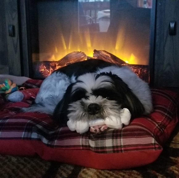 David Huettemann - Poshmark Profile Picture of David Huettemann (@huetty1) on Poshmark