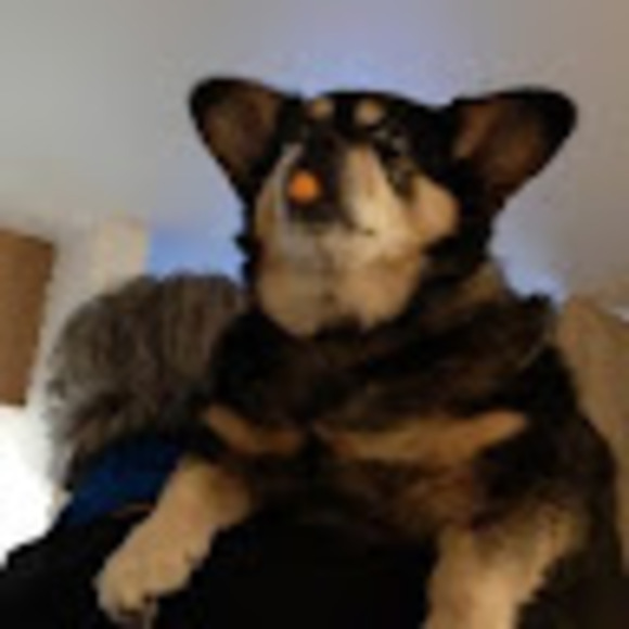 Profile Picture of Richard Van alstine (@vanjax716) on Poshmark