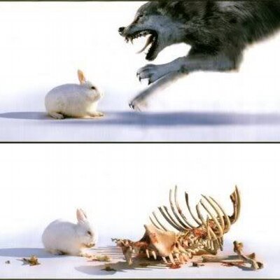 Profile Picture of Michael Mummert (@Attila574) on Twitter