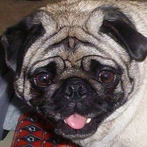 Profile Picture of Joe Lesniak (@277028303) on Myspace