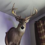 Profile Picture of 22/hunting🏈/⚾️/🔫 (@tannermoody22) on Instagram