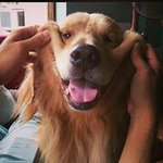 Profile Picture of Leon Peckson (@leonpeckson) on Instagram