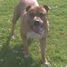 Profile Picture of Joanne Monks (@joanne.monks.735) on Facebook