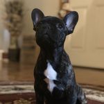 Profile Picture of Caleb Oliver (@caleb__oliver) on Instagram