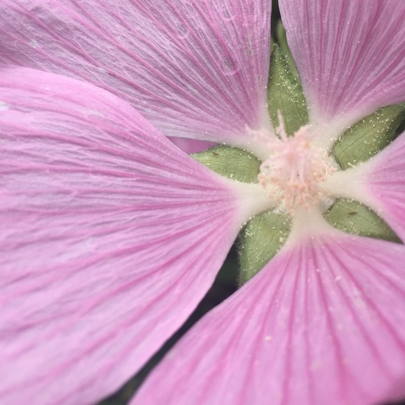 Kayt-lynn Gillert - Poshmark Profile Picture of Kayt-lynn Gillert (@kgillert) on Poshmark