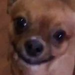 Profile Picture of Reece Jones (@reecesource) on Instagram