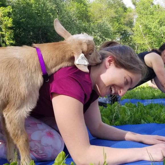 Profile Picture of Jen Tylock (@jentylock) on Poshmark