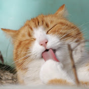 Profile Picture of Joanna Zhao (@joannazhao1632) on Youtube