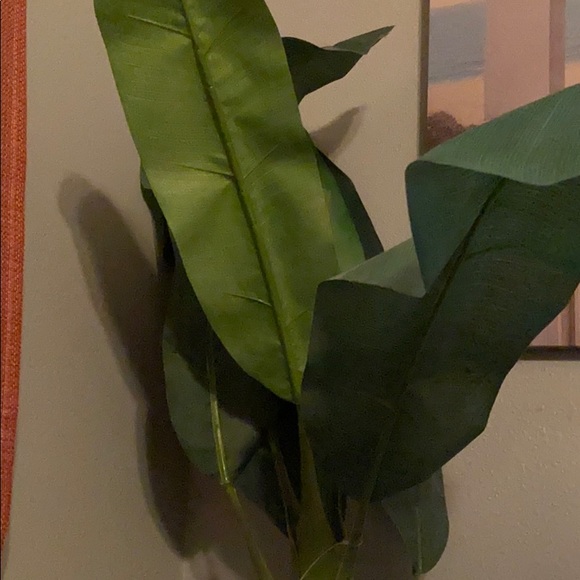 Profile Picture of Sherline Laine (@sherlinelaine) on Poshmark