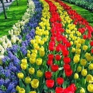 Profile Picture of Jeff Nagy (@Jeff-Nagy) on Facebook