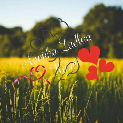 Profile Picture of Qamar Siddiqi (@Qamarsiddiqi) on Twitter