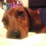 Profile Picture of Nicole Nelson (@achoo2100) on Instagram