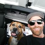 Sean Rowland - Instagram Profile Picture of Sean Rowland (@shorow) on Instagram