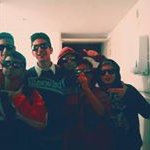 Profile Picture of Tomas Marcolini (@marcolinitomas) on Instagram