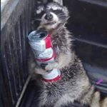 Profile Picture of joseph hurley (@firefighter_from_brookside) on Instagram