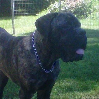 John Pence - Twitter Profile Picture of John Pence (@JohnPence68) on Twitter