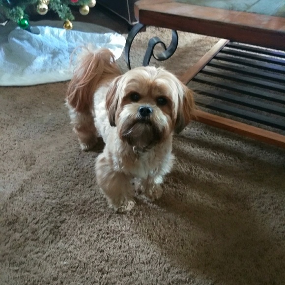 Profile Picture of Fleeta Pines (@fleeta1) on Poshmark