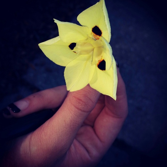 Profile Picture of Bojana Stupar (@bojana27) on Poshmark