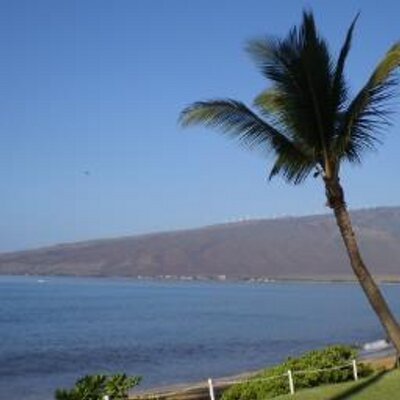 Profile Picture of Jeannie Wenger (@jeannieonmaui) on Twitter