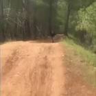 Profile Picture of   Aidan Cooper-Kuchel... (@ck.aidan) on Tiktok