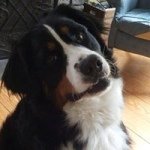 Profile Picture of Mark Letourneau (@markletour) on Instagram