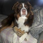 Profile Picture of Martin Anderton (@andertonmartin) on Instagram