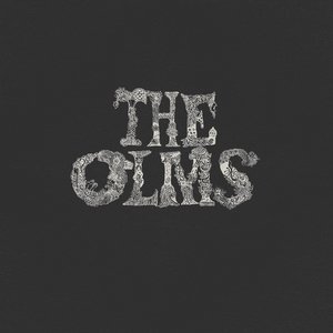 Profile Picture of The Olms (@theolmsmusic) on Myspace