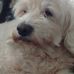 Profile Picture of Mark Hurlburt (@mark.hurlburt.167) on Facebook