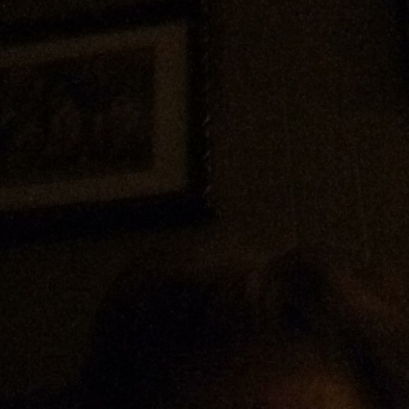 Profile Picture of Judy Theriot (@1busterbird) on Poshmark