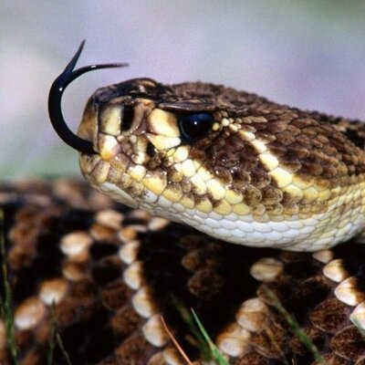 Profile Picture of Derrick Sharp (@derrickmatt96) on Twitter