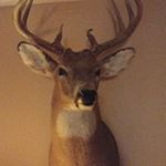 Profile Picture of Michael Fentress (@fentressmichael) on Instagram