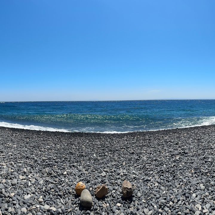 Profile Picture of Nicholas Christakis (@nicholaschri) on Tiktok