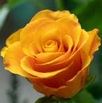 Profile Picture of Beth Buck (@beth.holden.463779) on Facebook