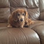 Profile Picture of Jill Tetreault (@jilltetreault) on Instagram