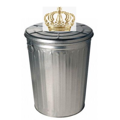 Profile Picture of Trash With A Dream (@kaitlin_eckert) on Twitter