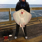 Profile Picture of trent Smith (@trentsmith204) on Flickr