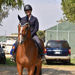 Profile Picture of Sharon Schmidt Training (@sharonschmidttraining) on Instagram