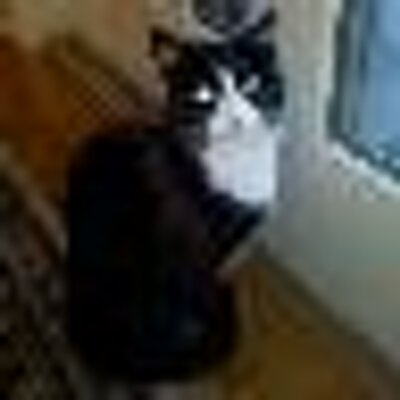 Profile Picture of Tracie Wallace (@TracieLWallace) on Twitter