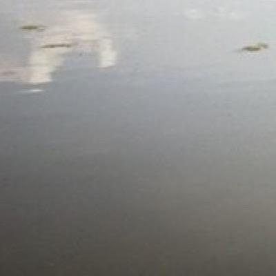 Dave Hinchman - Twitter Profile Picture of Dave Hinchman (@hinchmandave) on Twitter