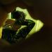 Profile Picture of Andika Xuanzan Monk (@Andika-Xuanzan-Monk) on Facebook
