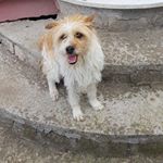 Profile Picture of Alessia Colonna (@alessia.colonna.779) on Instagram